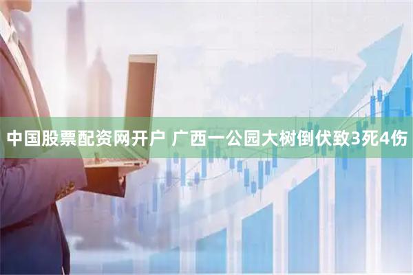 中国股票配资网开户 广西一公园大树倒伏致3死4伤